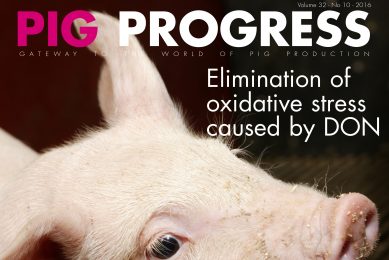 Focus on piglet health in latest issue of Pig Progress