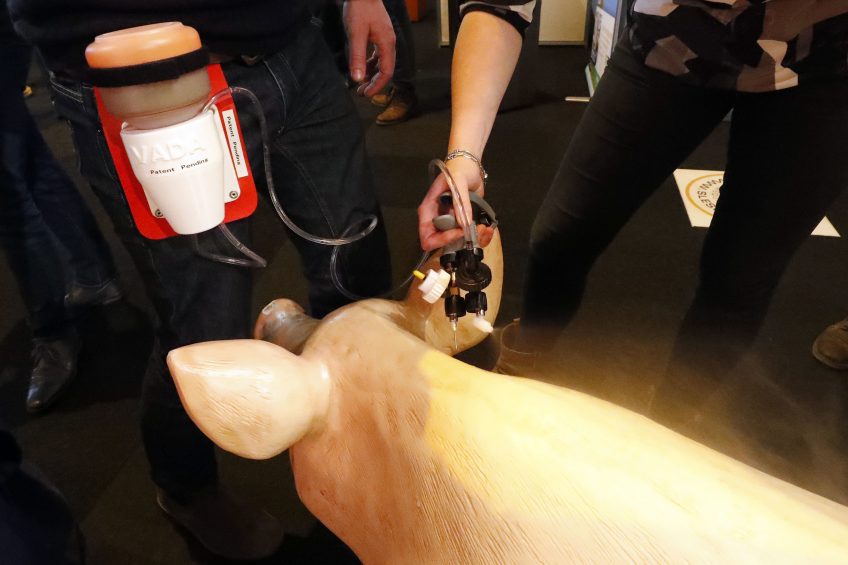 8 Modern swine innovations in the Netherlands