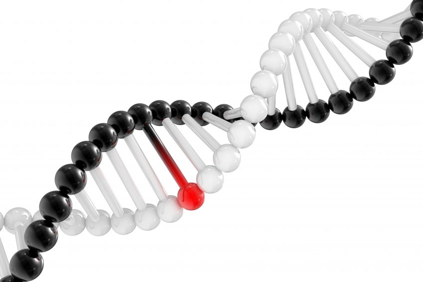 Structure of DNA with damaged chromosomes. Photo: Oleksandr Marynchenko