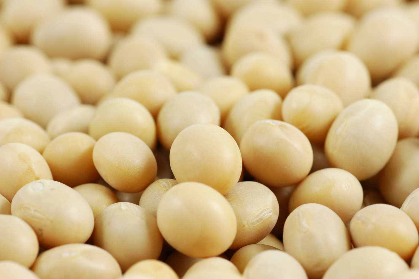 Considering Soy What is soya and is it safe and healthy?