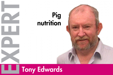 Fatty acids   the new frontier in pig nutrition