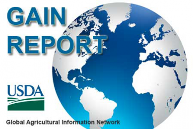 Gain Report: Australian pig industry examined