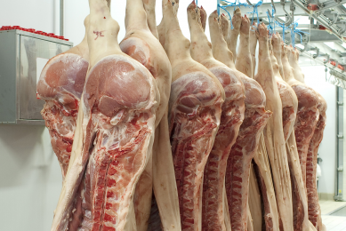 Agro-Belogorye increases pork division efficiency