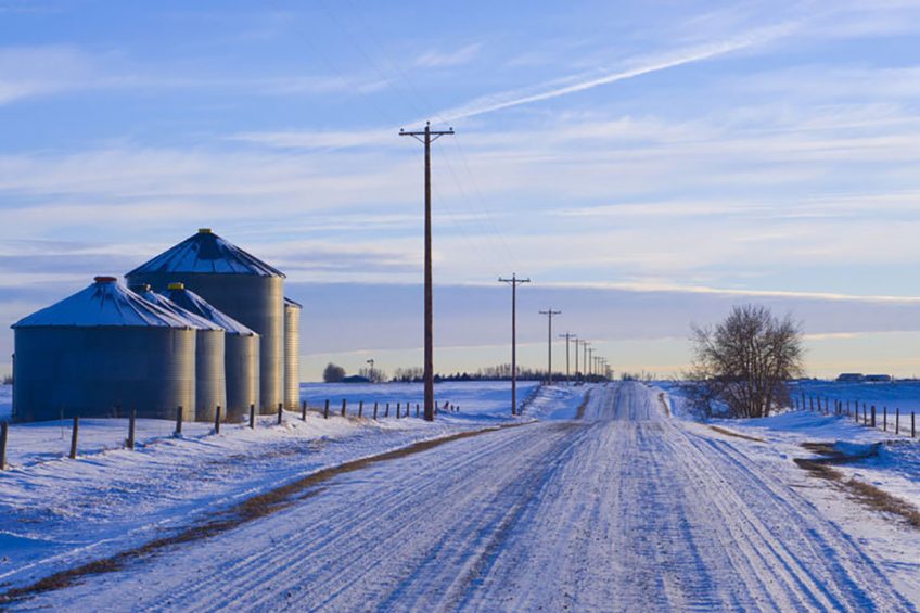 PEDv Canada: Outbreaks may be related to the cold. Photo: 123RF