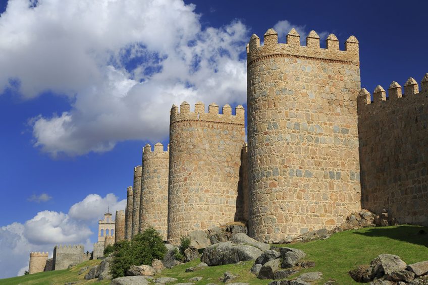 OK   this kind of protection may be a little bit over the top for a farm, but just like these medieval city walls of Ávila in central Spain, any farm should be constructed to keep unwanted visitors out. Photo: Vlad Gheia