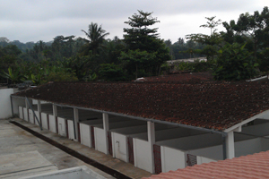 New pig units in São Tomé and Principe.