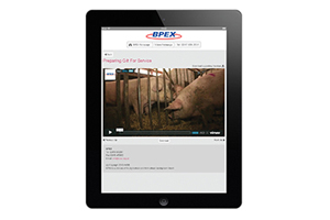 BPEX launches pioneering practical pig app
