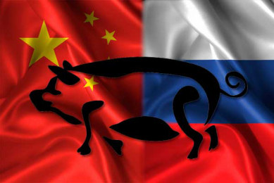 Chinese pork exports reap benefits of Russia s ban