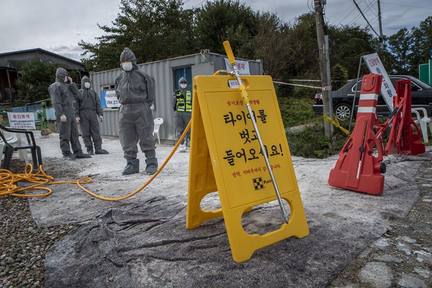 Quarantine officials set up a sign at a pig farm in Paju, South Korea, on October 3, as they carry out disinfection operations against ASF. Photo: ANP/EPA/Yonhap