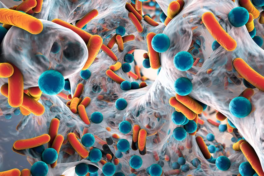Artist's impression of a biofilm of bacteria. - Illustration: Shutterstock