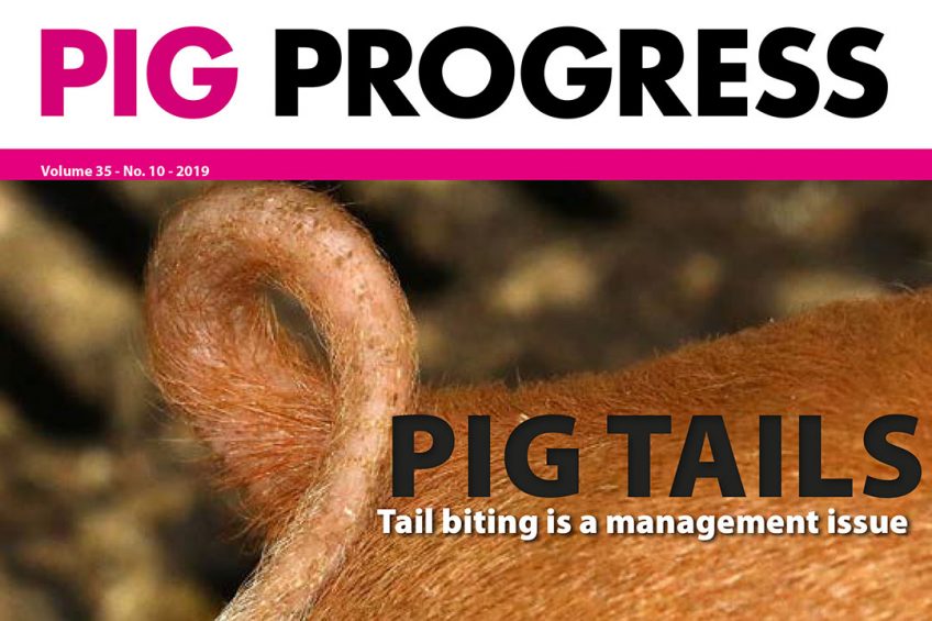 Curly tails, happy pigs and gut health in Pig Progress 10 - Pig