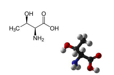 Fermentation protein