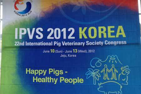Where there is a will, there is a way: the story of the successful bid to host the IPVS 2012