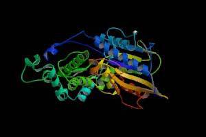 Phytases and phytases