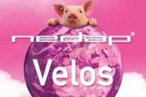 EUROTIER: Nedap Velos moves into farrowing pen