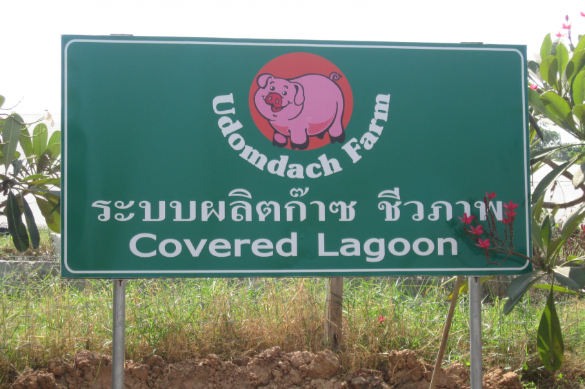 Focus on Thailand: the first biogas pig farm
