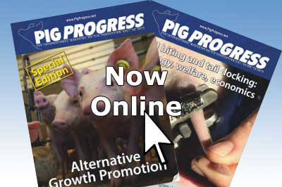 Now online: Boars & alternative growth promotion in the spotlight