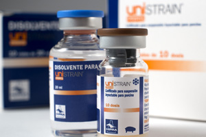 New PRRS vaccine introduced to European swine vets