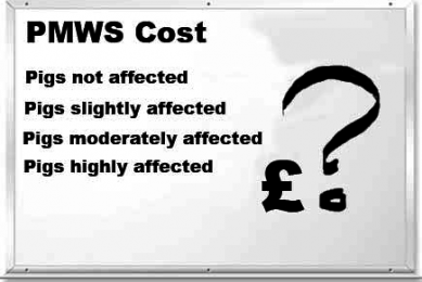 Calculator to determine cost of endemic disease in pigs