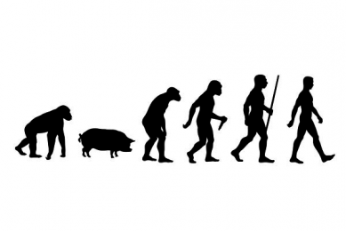 American geneticist: Humans may be chimp-pig hybrid