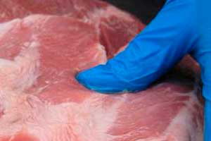 Belarus bans hogs, pork imports from Latvia