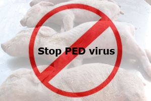 US: Approval for PEDv vaccine wanted