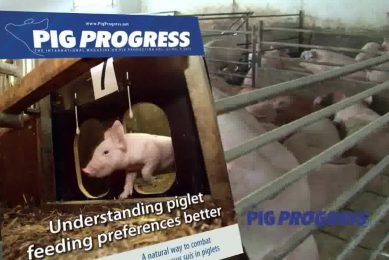 Pig Progress video