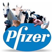 Pfizer to acquire livestock DNA companies