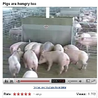 Pork Checkoff releases three YouTube videos