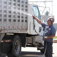 Truckloads of pigs kept waiting after controls
