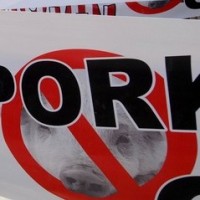 Japan suspends Chilean pork imports