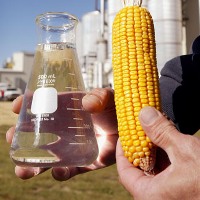 Cost of ethanol will hit red meat industries hard