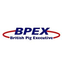Pig profitability web site launched