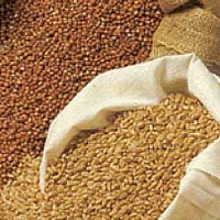 Vietnam sets melamine standards for feed