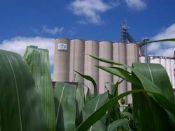 US: Swine sector growth prompts new feed mills