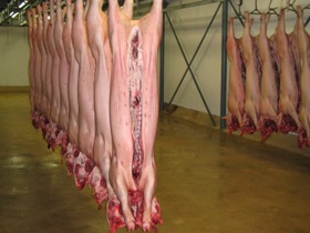 NZ: Provisional import health standards for pig meat