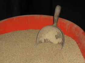 Chinese animal feed declared safe