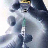Intervet/SP launches new PCV2 vaccine in Europe