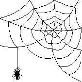 ‘Charlotte’s web’ site raises concern