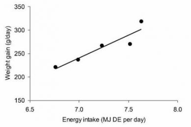 What limits growth in piglets?