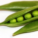 Peas fight pig infections