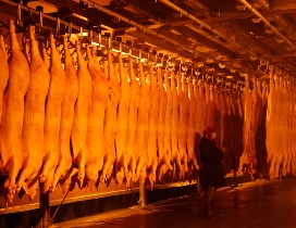 Eastern Europe decreases amount of Brazil pork imports