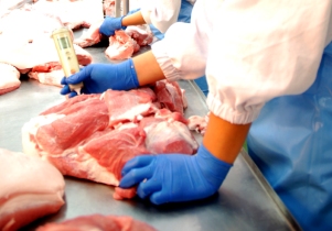 China to lift H1N1-ban on US pork
