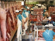 Chinese will inspect Dutch pig slaughterhouses