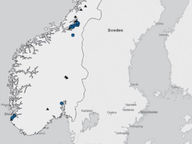 Norway: pigs with H1N1 were infected by humans