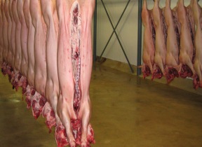UK: Pork imports fall in 2009