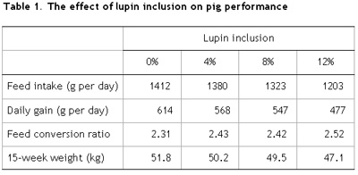 AFBI study the use of lupins in diets for pigs