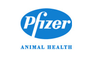 Pfizer Animal Health deepens U.S. swine veterinary operations