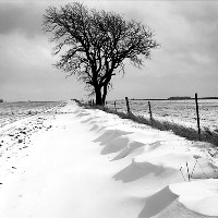 Iowa pork producers coping with storm