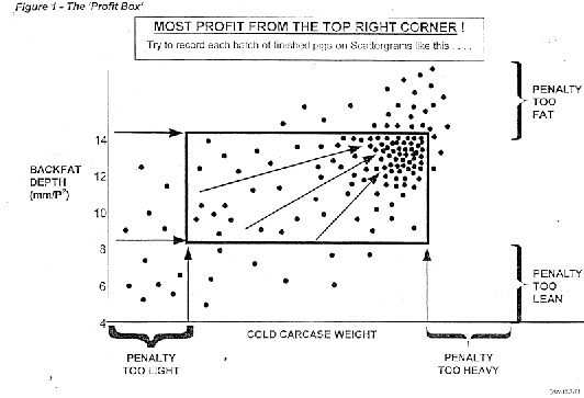 Managing Variation at Slaughter by using a ‘Profit Box’